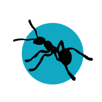 ant logo